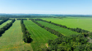 DJI_20250702102319_0052_D.jpg