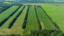 DJI_20250702102406_0054_D.jpg