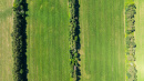 DJI_20250702102500_0056_D.jpg