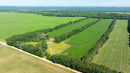 DJI_20250702102639_0059_D.jpg