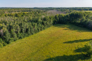 DJI_20250710190012_0055_D-HDR.jpg