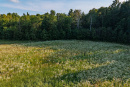 DJI_20250710190119_0064_D-HDR.jpg