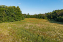 DJI_20250710190130_0067_D-HDR.jpg
