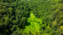 DJI_20250718150910_0296_D.jpg