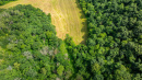 DJI_20250718151607_0317_D.jpg