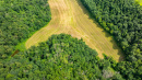 DJI_20250718151630_0318_D.jpg