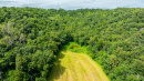 DJI_20250718151735_0320_D.jpg