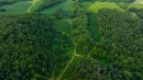 DJI_20250728201442_0496_D.jpg
