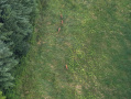 DJI_20250801201540_0020_Z.JPG