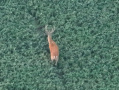 DJI_20250801203845_0007_Z.JPG