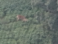 DJI_20250801204103_0013_Z.JPG