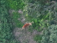 DJI_20250801204224_0015_Z.JPG