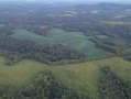 DJI_20250807195741_0003_Z.JPG
