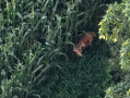 DJI_20250807200029_0009_Z.JPG