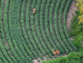 DJI_20250807201049_0024_Z.JPG