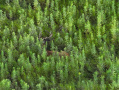 DJI_20250807201201_0033_Z.JPG