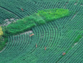 DJI_20250807202027_0038_Z_1.JPG