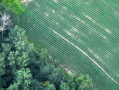 DJI_20250807202254_0042_Z.JPG