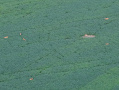 DJI_20250807202816_0055_Z_1.JPG