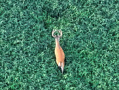 DJI_20250807202914_0058_Z.JPG