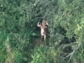 DJI_20250807203044_0060_Z.JPG