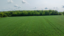 DJI_20250811103456_0739_D_1.jpg