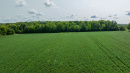 DJI_20250811103456_0739_D.jpg