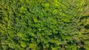 DJI_20250811103600_0742_D.jpg