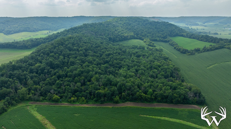DJI_20250811153322_0790_D.jpg