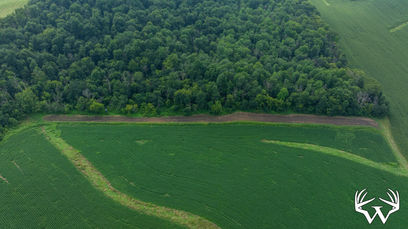 DJI_20250811153354_0791_D.jpg