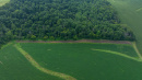 DJI_20250811153354_0791_D.jpg