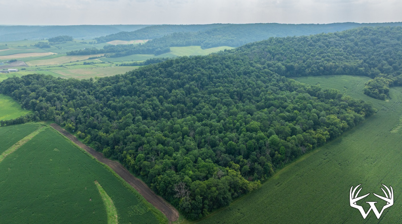 DJI_20250811153426_0792_D.jpg