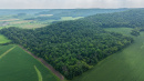 DJI_20250811153426_0792_D.jpg