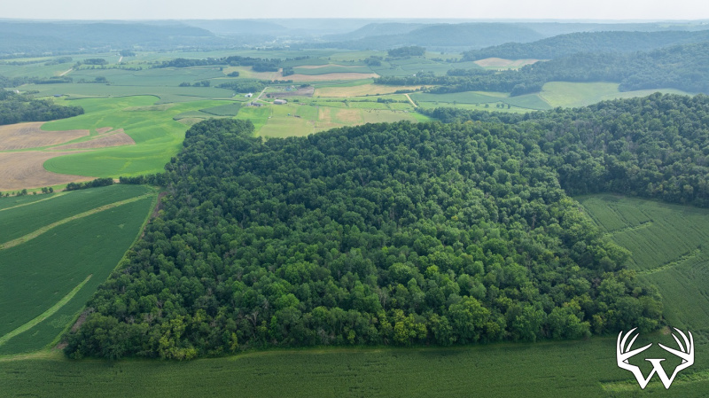 DJI_20250811153455_0793_D.jpg
