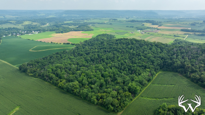 DJI_20250811153524_0794_D.jpg