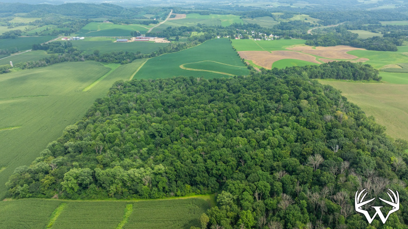 DJI_20250811153601_0795_D.jpg