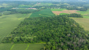 DJI_20250811153601_0795_D.jpg