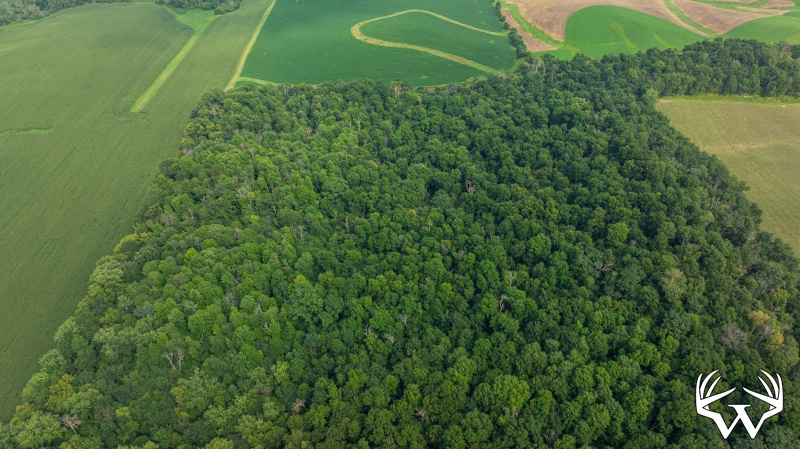 DJI_20250811153619_0796_D.jpg