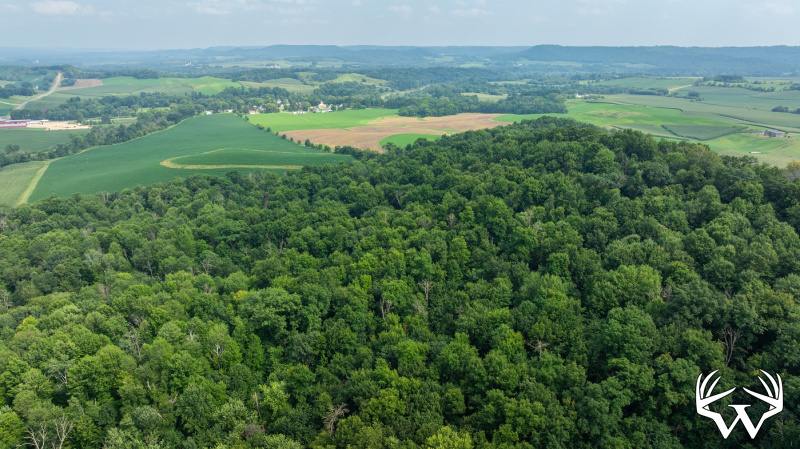 DJI_20250811153647_0797_D.jpg