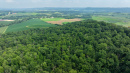 DJI_20250811153647_0797_D.jpg
