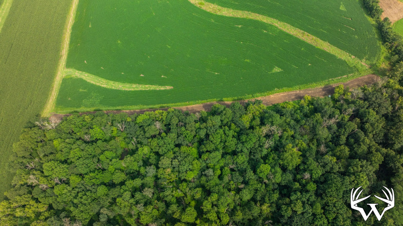 DJI_20250811153730_0799_D.jpg