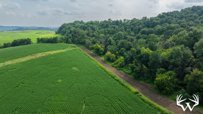 DJI_20250811153811_0801_D.jpg