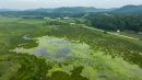 DJI_20250811164735_0809_D.jpg