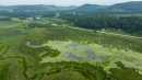 DJI_20250811164756_0810_D.jpg