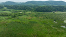 DJI_20250811164903_0815_D.jpg