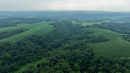 DJI_20250811174550_0837_D.jpg