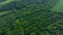 DJI_20250811174641_0840_D.jpg