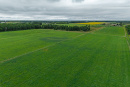 DJI_20250816134238_0067_D-HDR.jpg