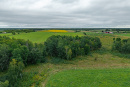 DJI_20250816134347_0077_D-HDR.jpg