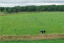 DJI_20250816134645_0092_D-HDR.jpg